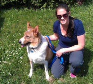 dog training binbrook