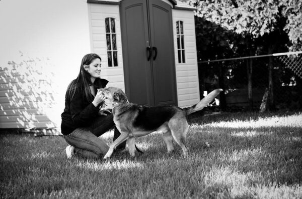 dog training hamilton, ontario