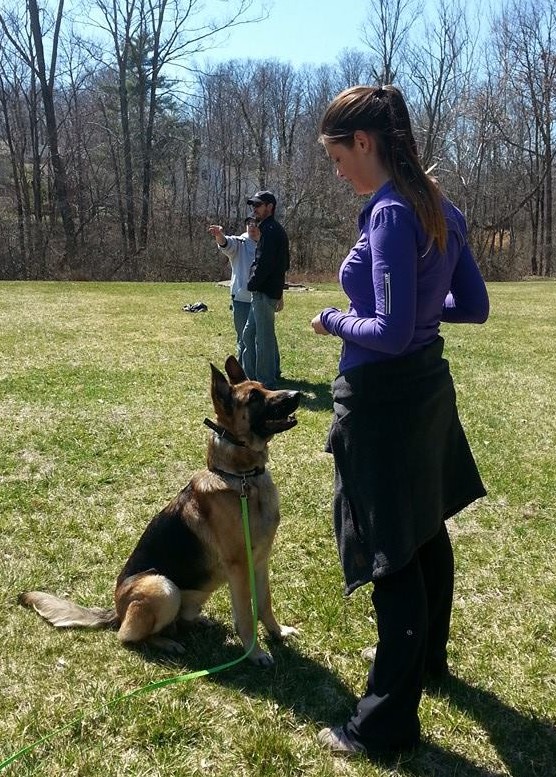 Using Food for Dog Training the Right Way