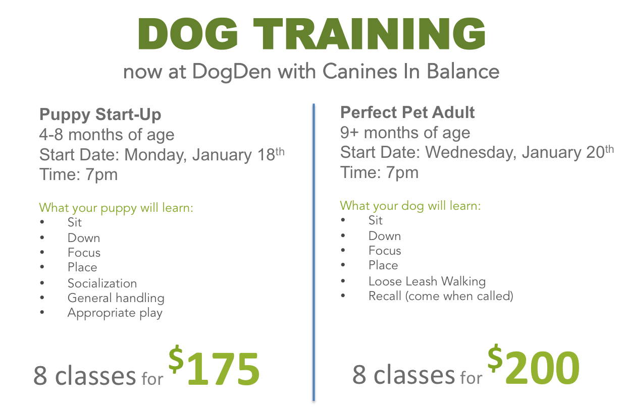 Puppy training Burlington