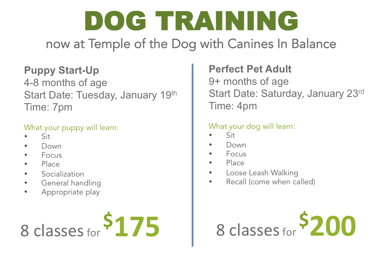 Puppy training Burlington