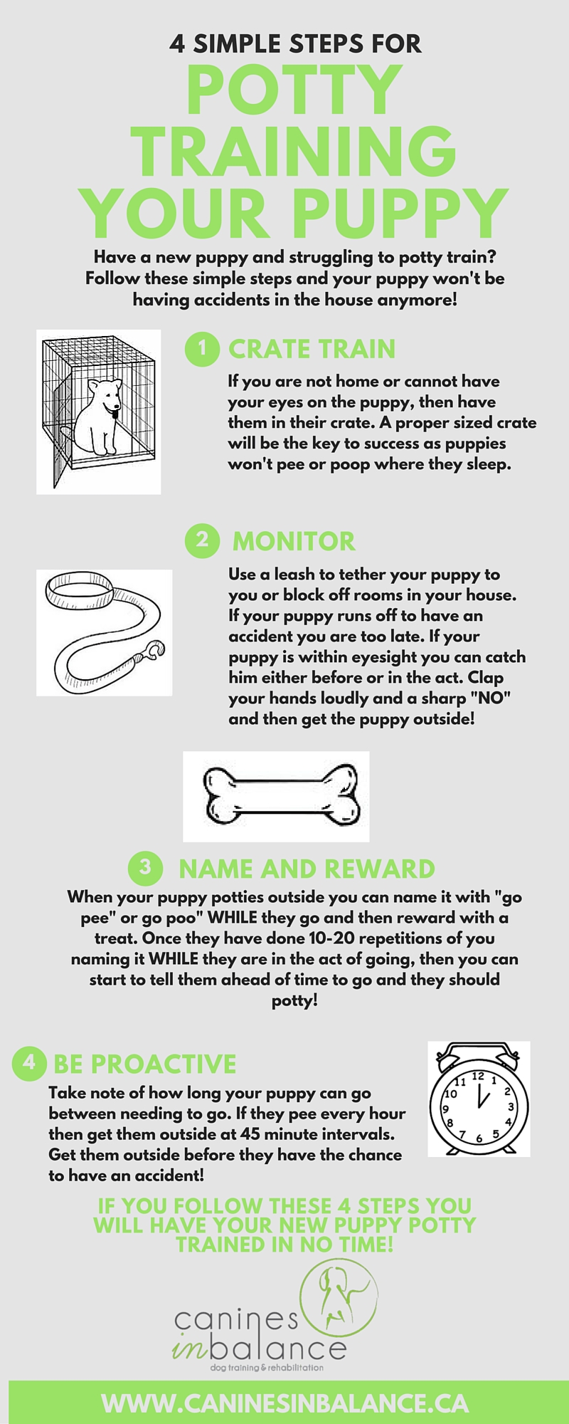 4 Simple Steps for Potty Training Your Puppy