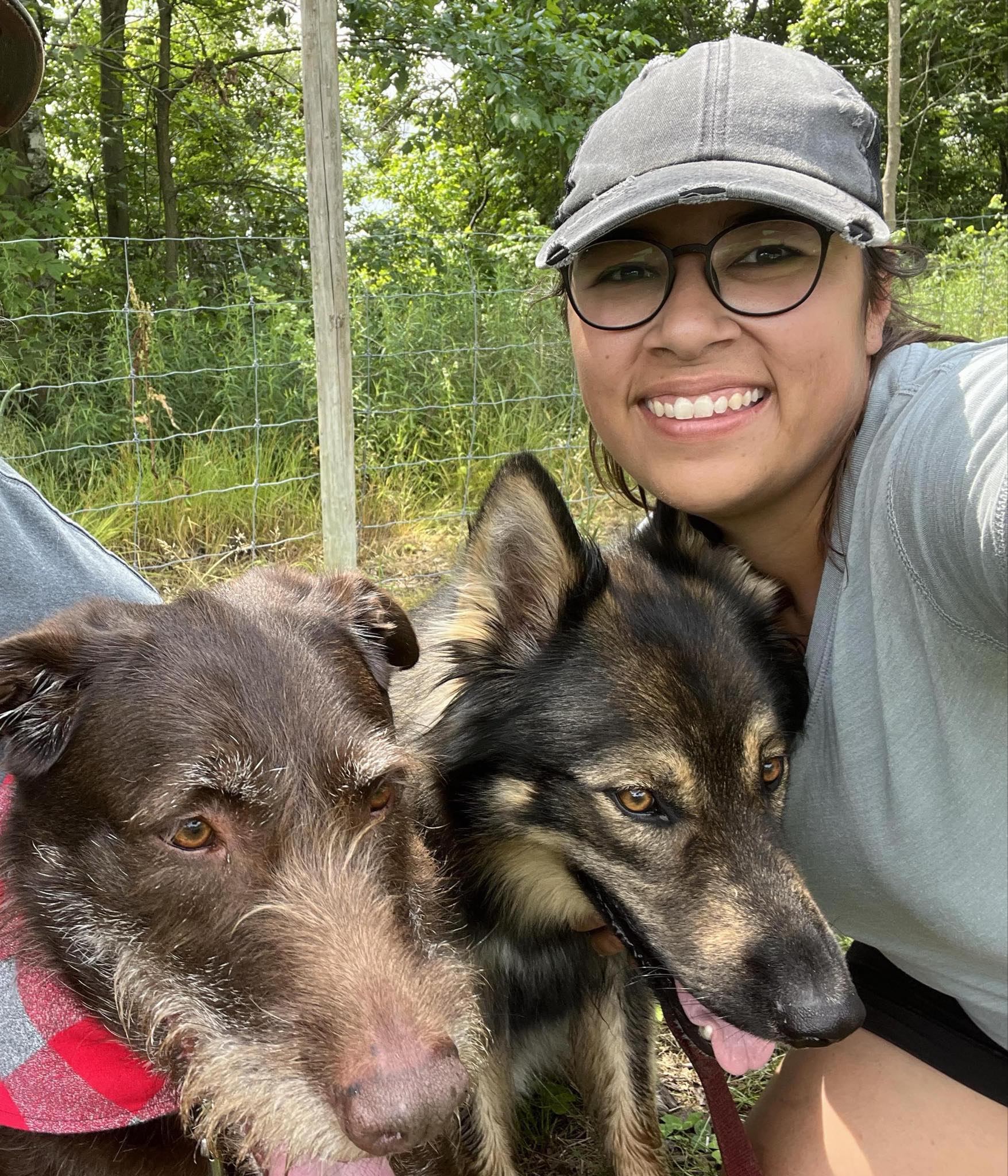 dog trainer with german shepherd