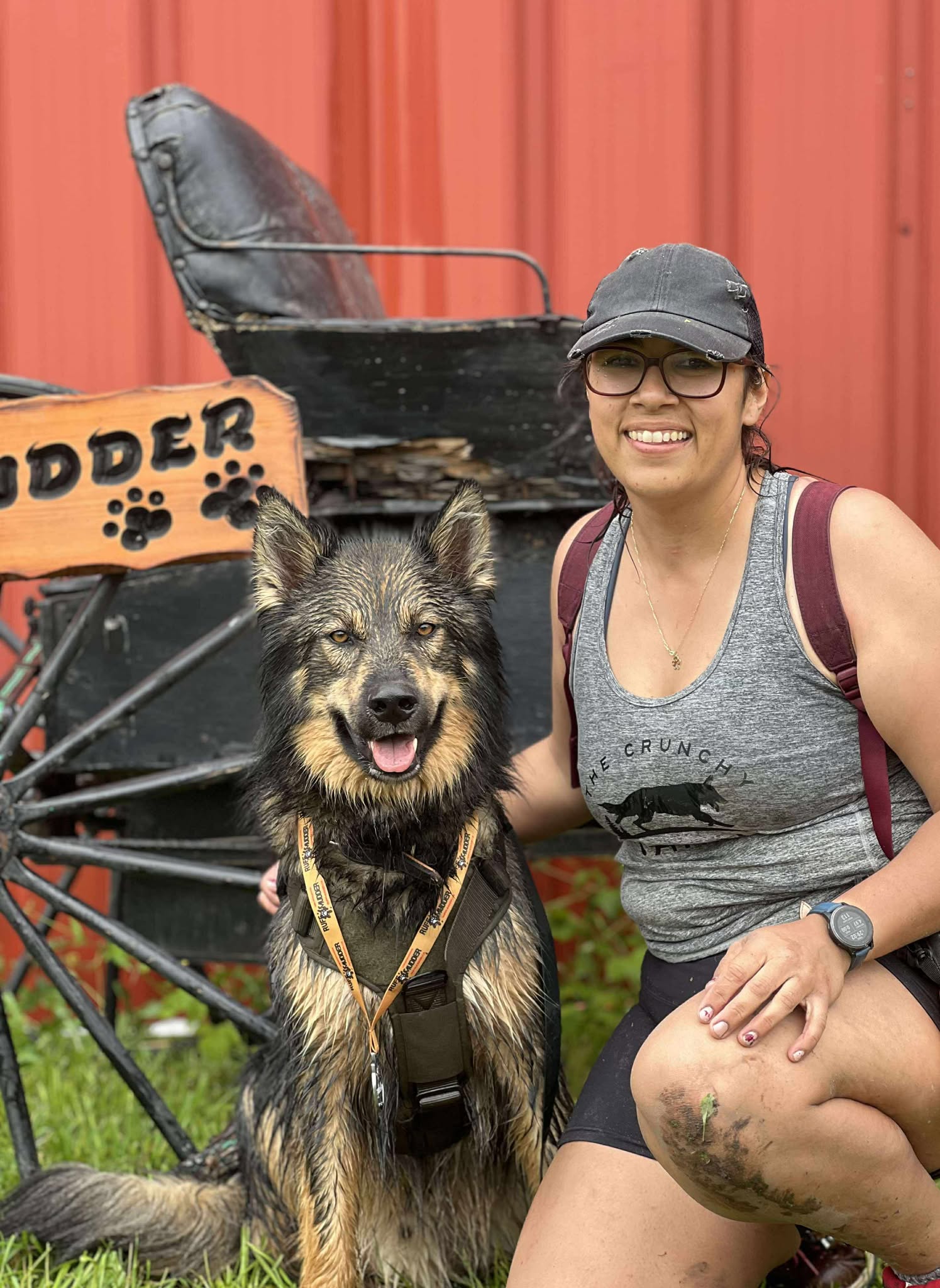 dog training hamilton